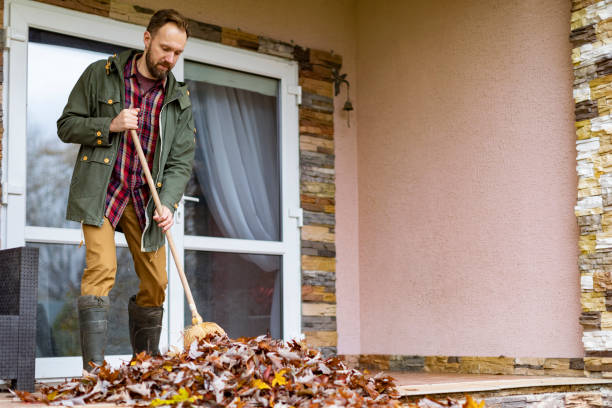 Best Same-Day Junk Removal  in Wyanet, IL